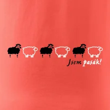 Jsem pasák - ovce v řadě