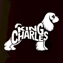 Labrador nápis v těle