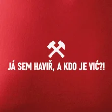JÁ SEM HAVIŘ, A KDO JE VIĆ?!﻿