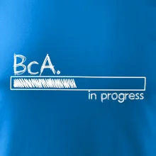 In progress  titul BcA. bakalář / bakalářka umění