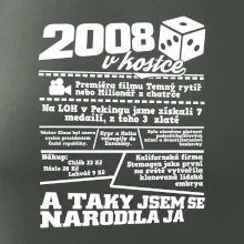 2008 v kostce