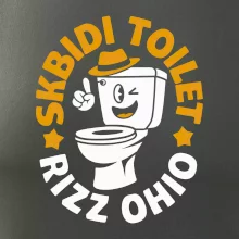 Skibidi toilet rizz ohio