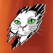 Kočka v roztrženém triku