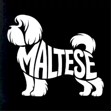 Maltézský psík nápis v těle
