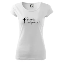 Stavím svépomocí - ikona