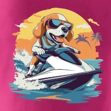 Bígl na vodním skútru