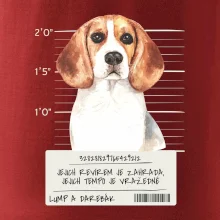 Lump a darebák bígl