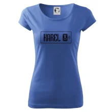 Jméno - zvukař reproduktor