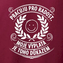 Pracuju pro radost. moje výplata je toho důkazem