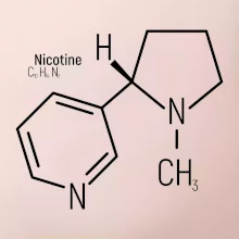 Molekulární struktura Nikotin