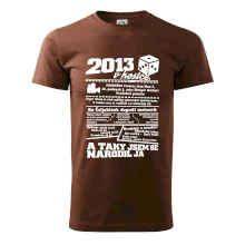 2013 v kostce