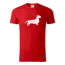 Jezevčík - Dachshund