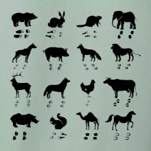 Zvířecí stopy s obrázkem zvířete - stopy zvířat