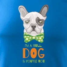 I am bull dog, you are not