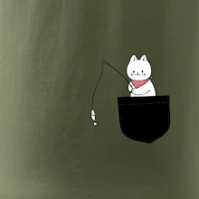 Kočka s rybou v kapse