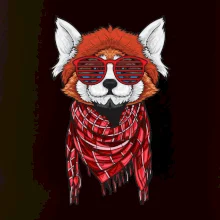 Červená panda hipster