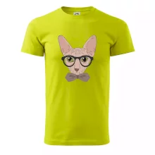 Hipster sphynx