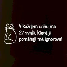 Kočka - 27 svalů