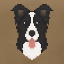 Border kolie Pixel