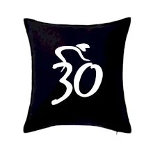 Cyklista slaví třicítku (30)