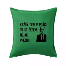 Každý den v práci to se šéfem nějak přežiju