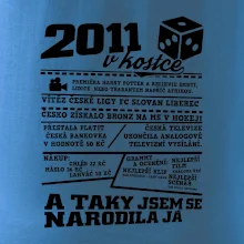2011 v kostce