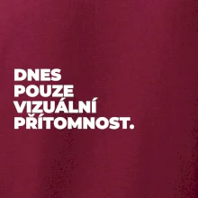 DNES POUZE VIZUÁLNÍ PŘÍTOMNOST.