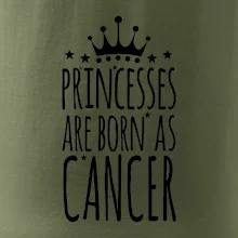 Princesses are born as Cancer - Rak