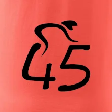 Cyklista slaví pětačtyřicítku (45)