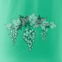 Vinné hrozny šedé