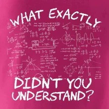What exactly didnt you understand - physics