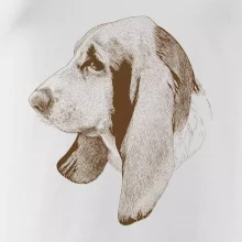 Basset - kreslená hlava