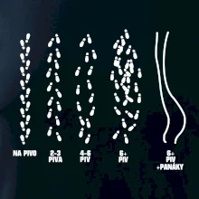 Cesta na pivo a domů