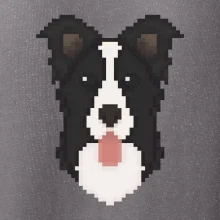 Border kolie Pixel