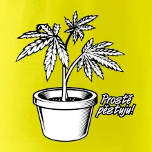 Konopi prostě pěstuju