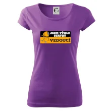 Jsem týhle stavby vedoucí