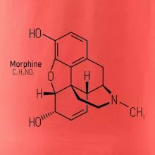 Molekulární struktura Morfin