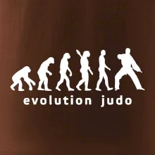 Judo evoluce - úder