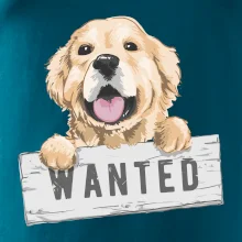 Zlatý retriever - štěně wanted