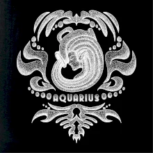 Aquarius - vintage