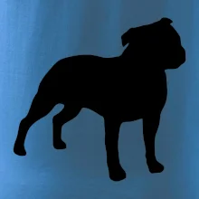 Americký stafordširský teriér  Na prsu