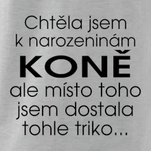 Chtěla jsem dostat k narozeninám koně