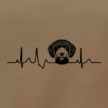 Lagotto romagnolo hlava EKG