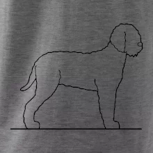 Lagotto romagnolo stojící