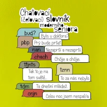 Chatovací slovník moderního seniora (Běžící češtinář)