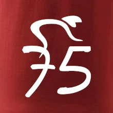 Cyklista slaví pětasedmdesátku (75)