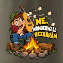 Ne Wonderwall nezahrám