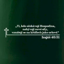 Citáty z bible - Izajáš 40:31