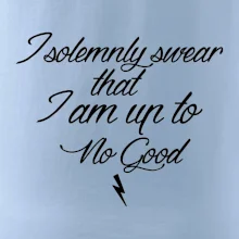 I solemnly swear that I'm up to no good