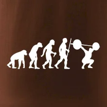 Evolution fitness